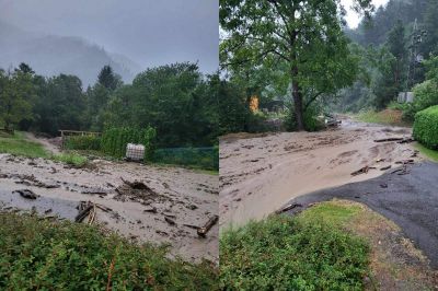Neurje na Koroškem