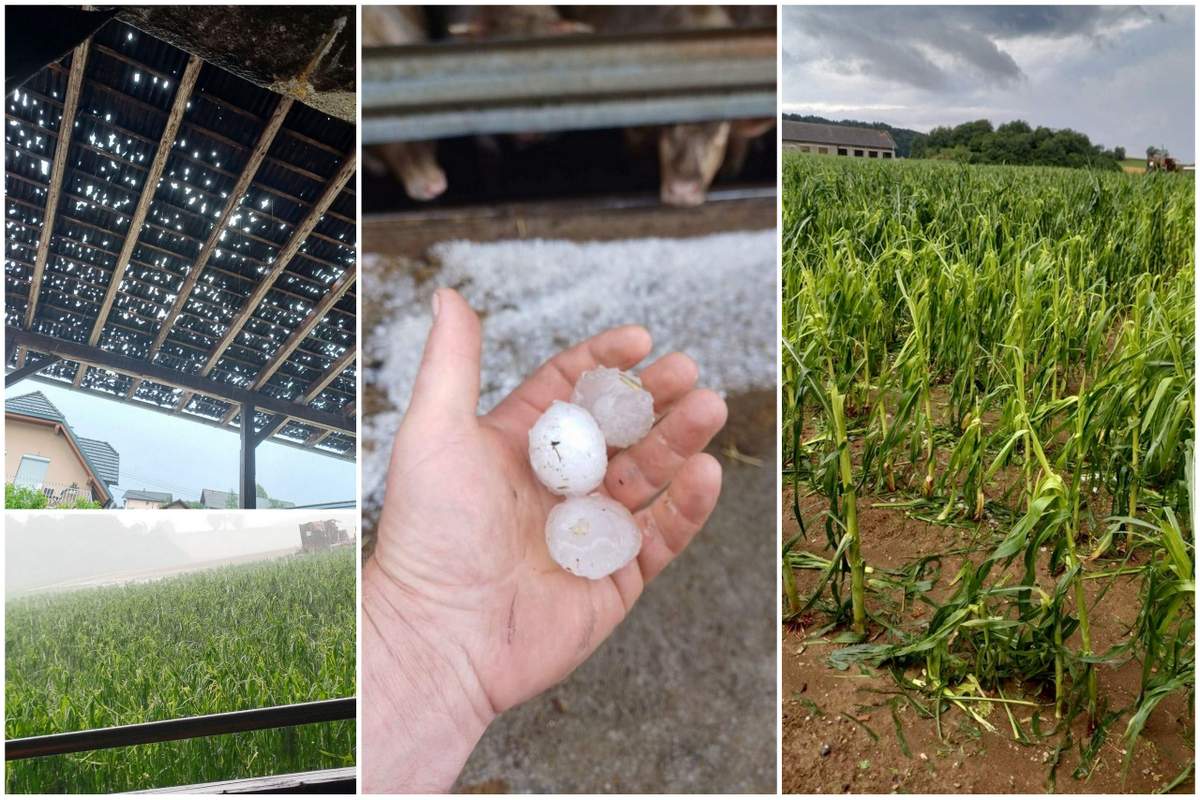Tako je v kraju Bič v občini Trebnje