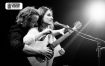 Crossing String - Koncert