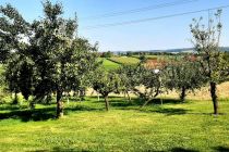 Praznovanje življenjskega jubileja zakoncev Filipič