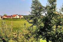 Praznovanje življenjskega jubileja zakoncev Filipič