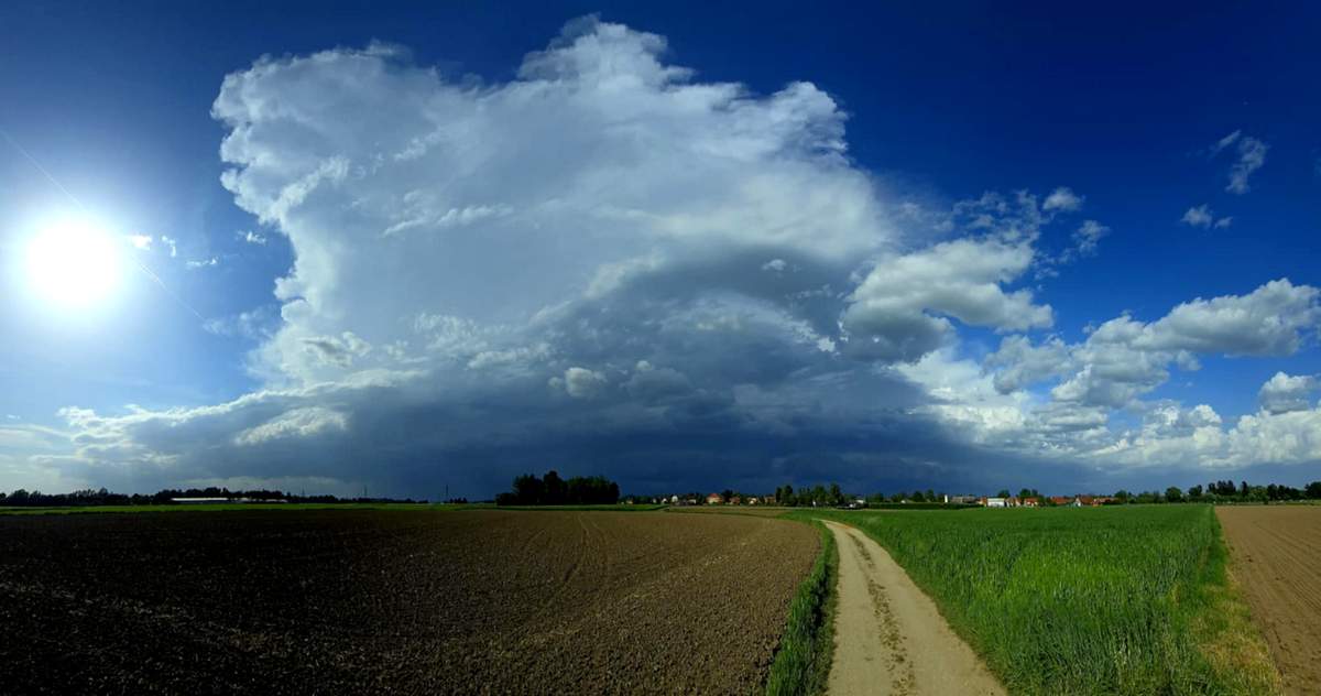 Neurje