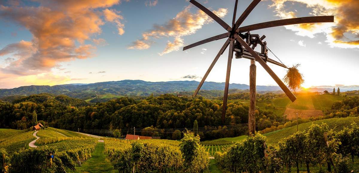 Štajerska: srce med vinogradi in klopotec