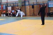 Prleški judoisti v Avstriji