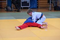 Prleški judoisti v Avstriji