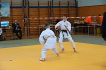 Prleški judoisti v Avstriji