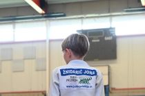 Prleški judoisti v Avstriji