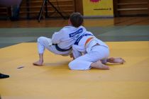 Prleški judoisti v Avstriji