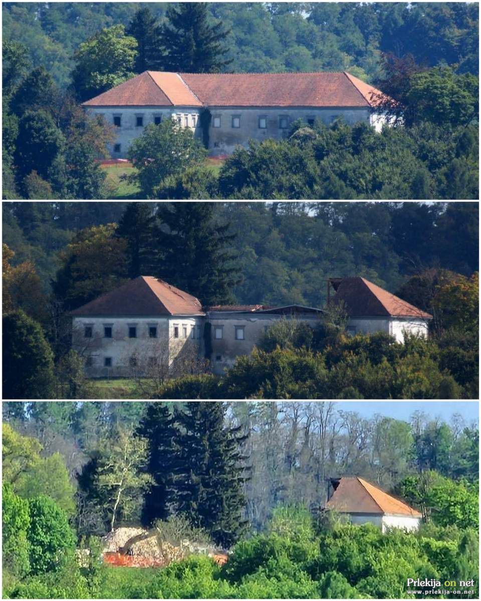 Dvorec skozi leta