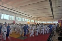 Prleški judoisti v Budimpešti