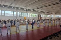 Prleški judoisti v Budimpešti