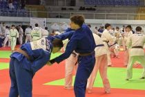 Prleški judoisti v Budimpešti