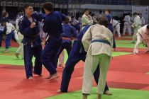Prleški judoisti v Budimpešti