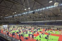 Prleški judoisti v Budimpešti