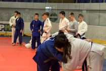 Prleški judoisti v Budimpešti