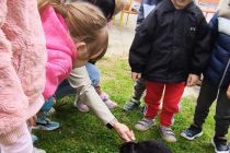 Velikonočna dogodivščina v vrtcu Mala Nedelja