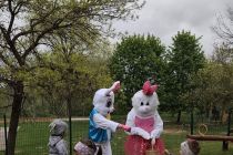 Velikonočna dogodivščina v vrtcu Mala Nedelja