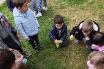 Velikonočna dogodivščina v vrtcu Mala Nedelja