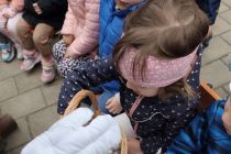 Velikonočna dogodivščina v vrtcu Mala Nedelja