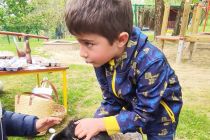 Velikonočna dogodivščina v vrtcu Mala Nedelja