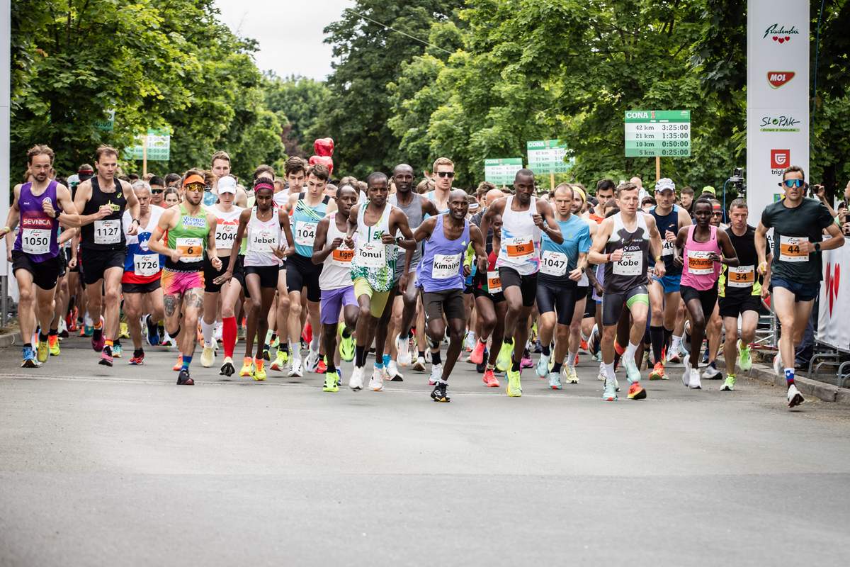 43. Maraton treh src