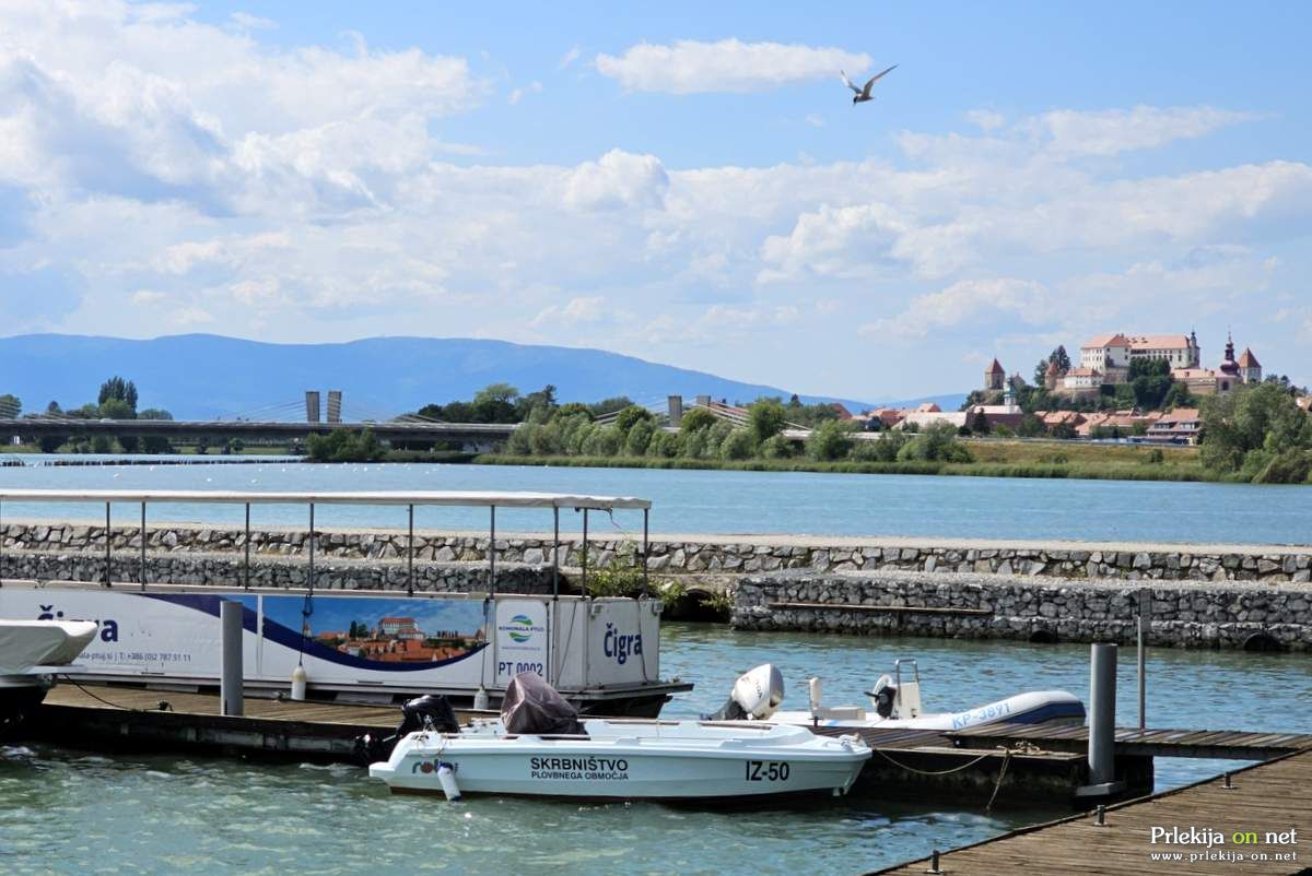 Ladjica Čigra