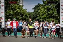 43. Maraton treh src