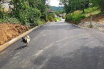 Asfaltiranje občinske javne poti v Moravcih