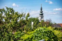 Čezmejni sprehod Twin City