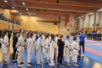 Ekipno državno prvenstvo Slovenije v karateju