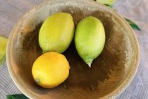 Limone v Prlekiji