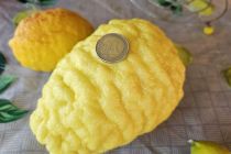 Limone v Prlekiji