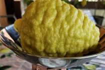 Limone v Prlekiji