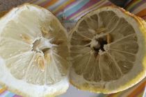 Limone v Prlekiji