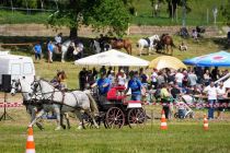 Mednarodno srečanje kočijažev in konjenikov