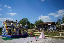 Mednarodno srečanje kočijažev in konjenikov