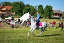 Mednarodno srečanje kočijažev in konjenikov