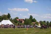 Mednarodno srečanje kočijažev in konjenikov