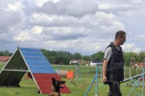Noč branja na OŠ Cvetka Golarja Ljutomer