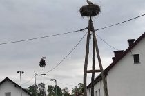 Pohod do DUO centra Veržej