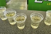Prvomajski pohod na Jeruzalem