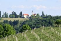 Prvomajski pohod na Jeruzalem