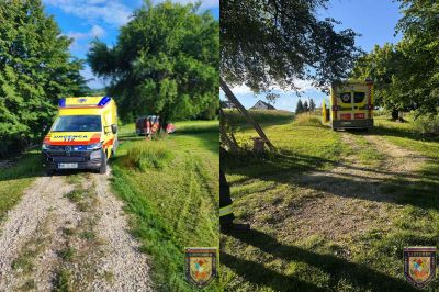 Posredovali so gasilci in reševalci
