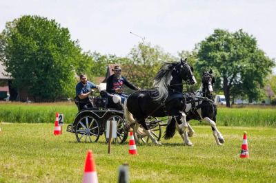Mednarodno srečanje kočijažev in konjenikov