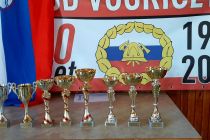 Tekmovanje koscev v Vogričevcih
