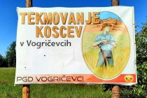 Tekmovanje koscev v Vogričevcih