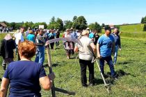Tekmovanje koscev v Vogričevcih