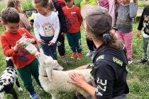 Vrtec Mala Nedelja v naravi