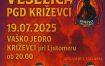 Gasilska veselica PGD Križevci
