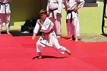 Karate piknik v Precetincih